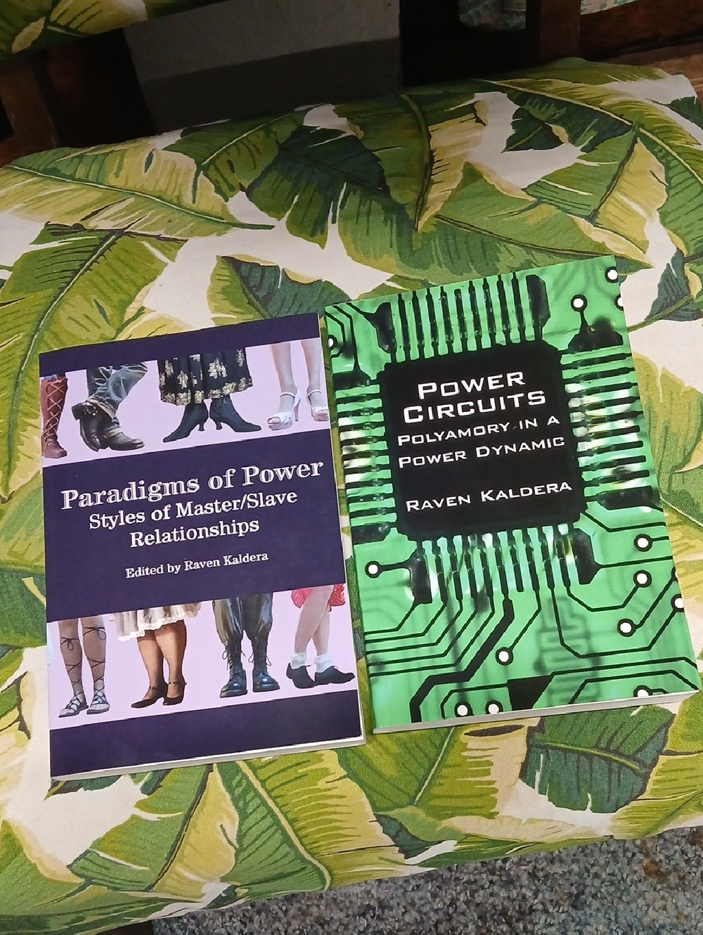 Set of 2 Books: "Paradigms of Power" & "Power Circuits" by Raven Kaldera